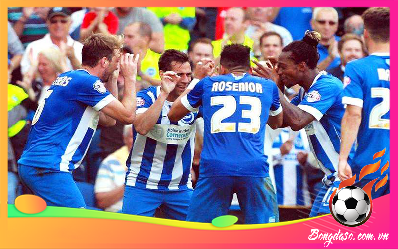 CLB Brighton là câu lạc bộ bóng đá của nước nào?