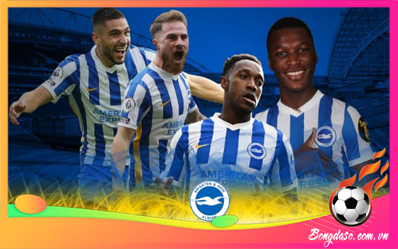 CLB Brighton là câu lạc bộ bóng đá của nước nào?