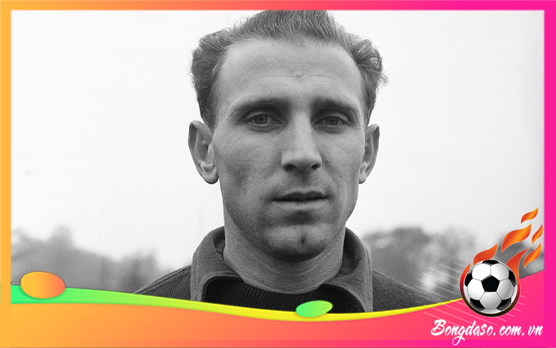 Nandor Hidegkuti là ai và sự nghiệp, danh hiệu, phong cách thi đấu?