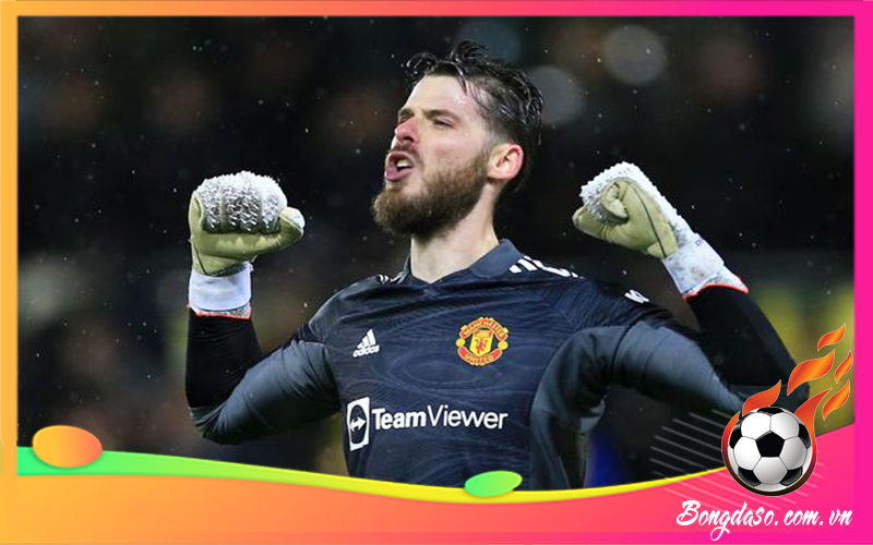 David de Gea là ai và sự nghiệp, danh hiệu, phong cách thi đấu