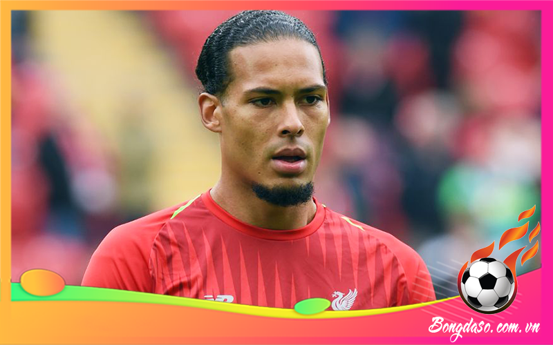 Van Dijk là ai và sự nghiệp, danh hiệu, phong cách thi đấu
