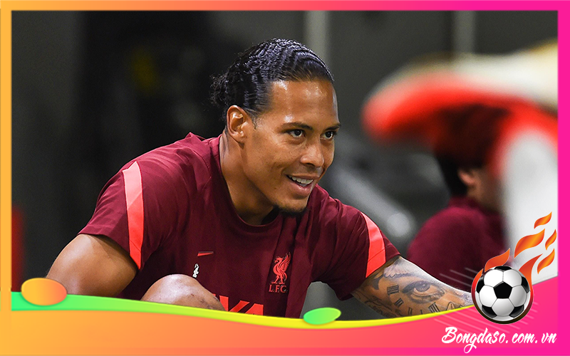 Van Dijk là ai và sự nghiệp, danh hiệu, phong cách thi đấu