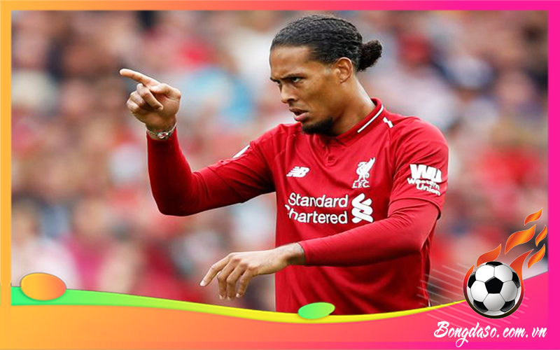 Van Dijk là ai và sự nghiệp, danh hiệu, phong cách thi đấu